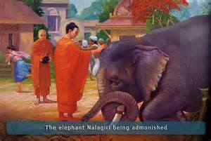 BuddhaNarakirielephant.jpg