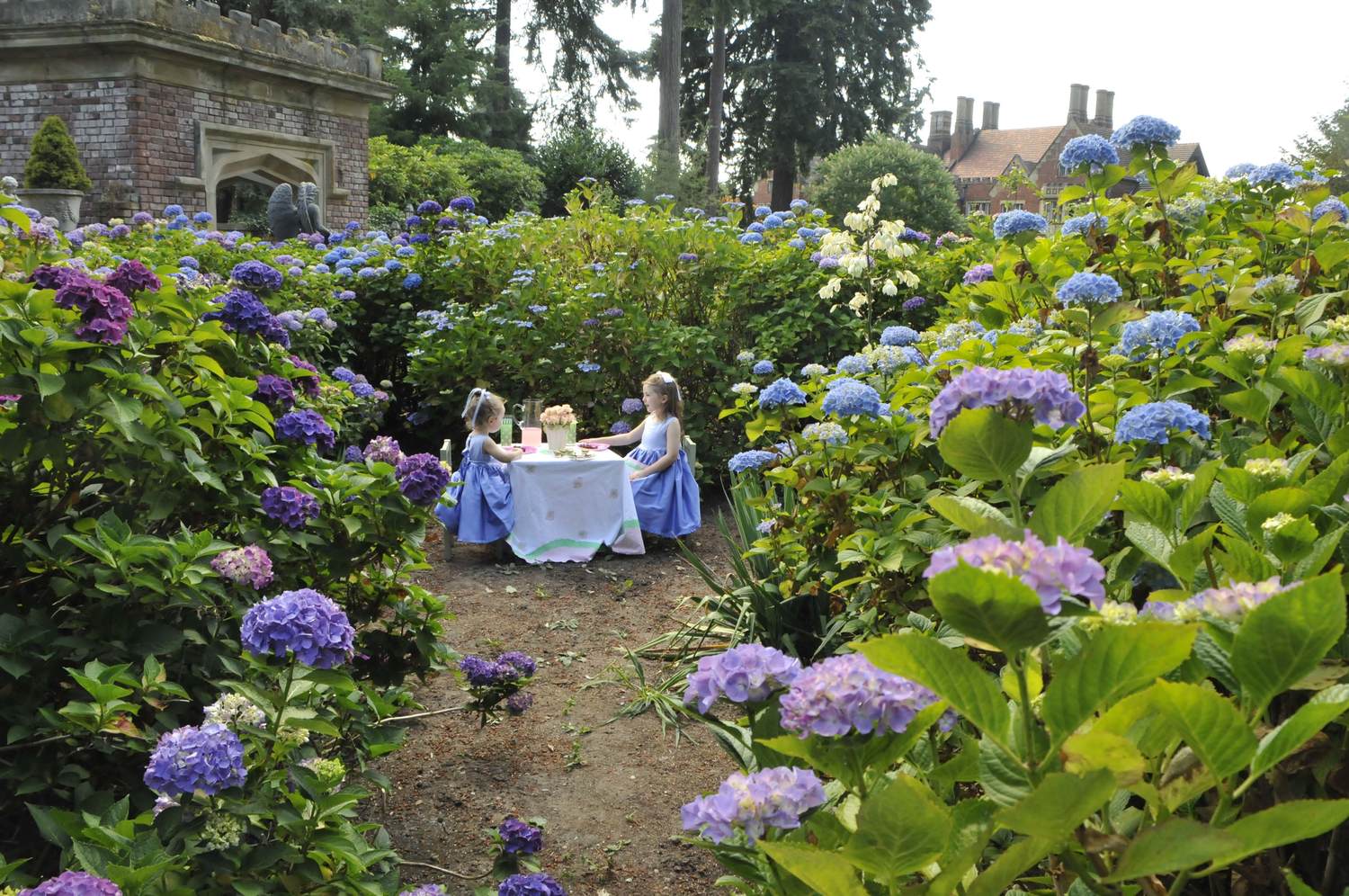 Garden+Tea+Party.jpg