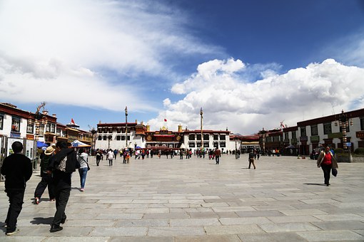 lhasa-479695__340.jpg